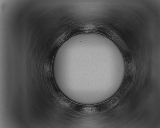 X0000052610415200507160042