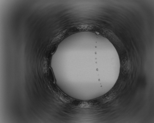 X0000052610416200507160042