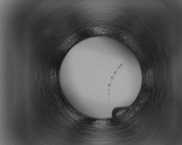 X0000052610418200507160042