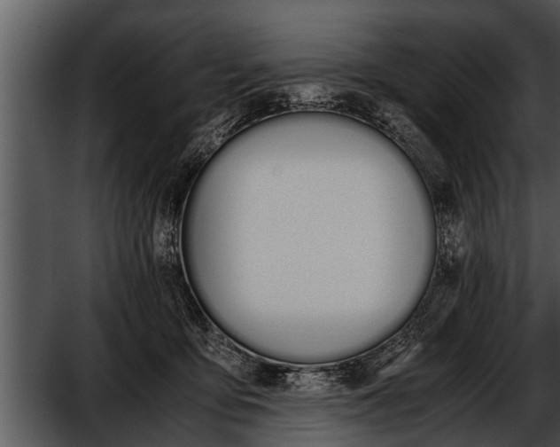 X0000052610419200507160042