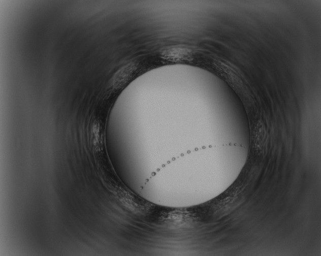 X0000052610420200507160042