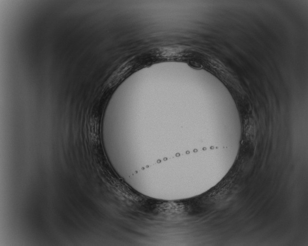 X0000052610421200507160042