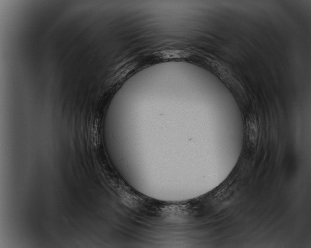 X0000052610422200507160042