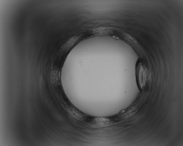 X0000052610429200507160042