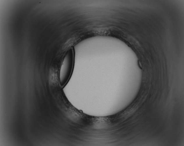 X0000052610432200507160042