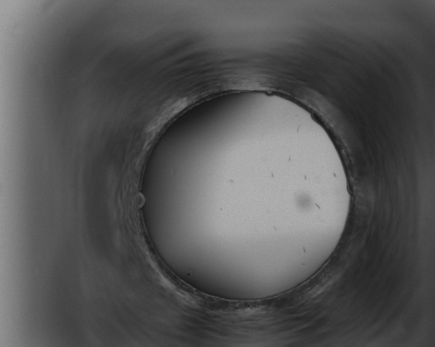 X0000052610433200507160041