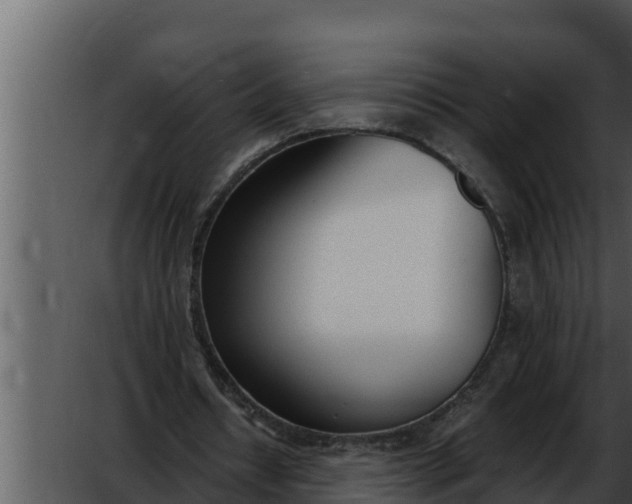 X0000052610434200507160041