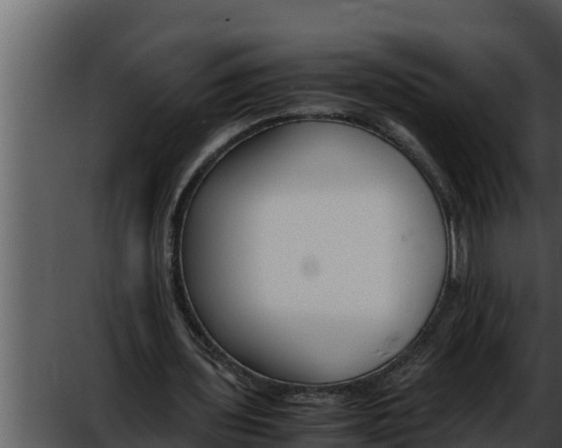 X0000052610435200507160041