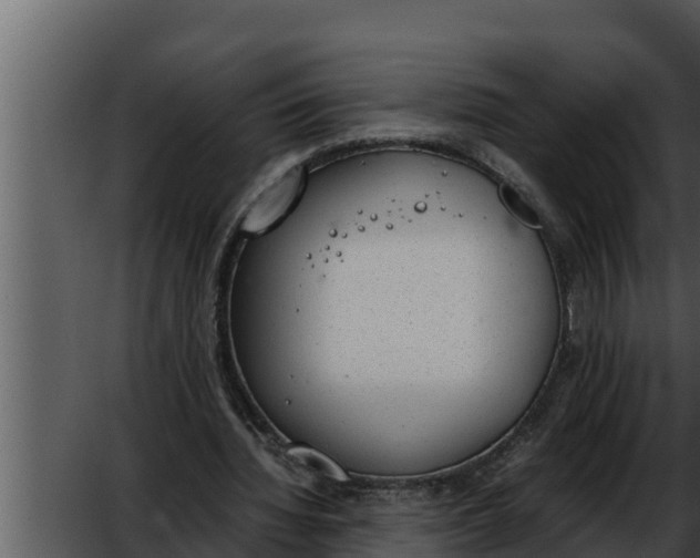 X0000052610436200507160041