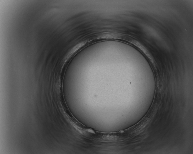 X0000052610437200507160041