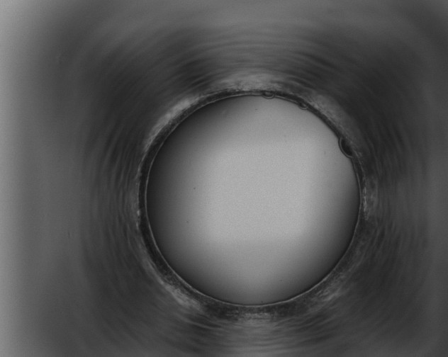 X0000052610438200507160041