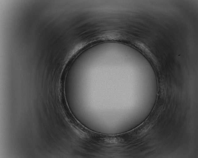 X0000052610439200507160041