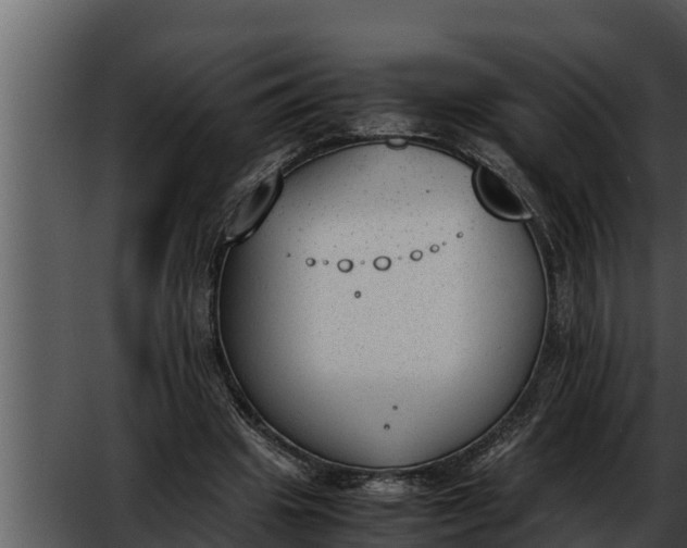 X0000052610441200507160041