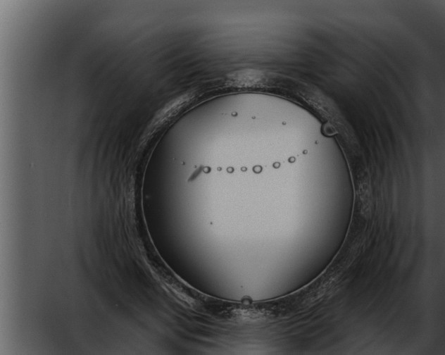 X0000052610442200507160041