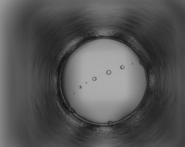 X0000052610444200507160041