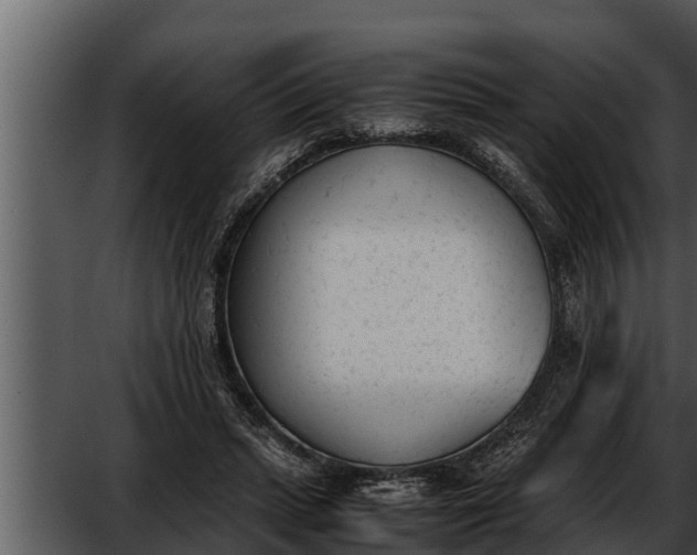 X0000052610447200507160041