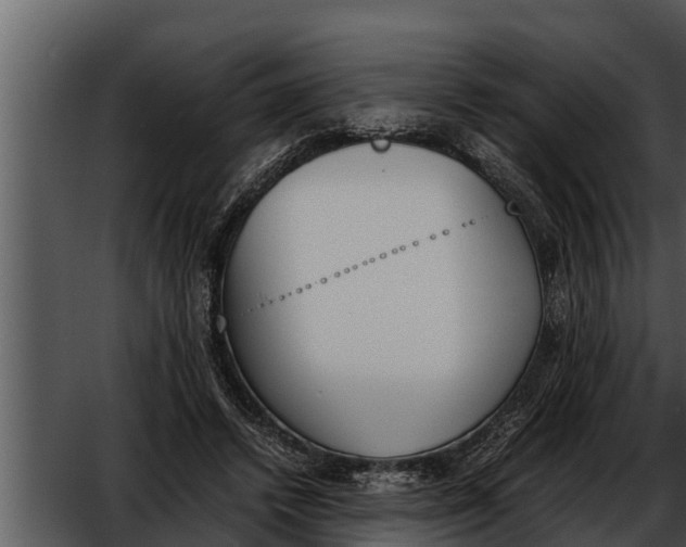 X0000052610448200507160042