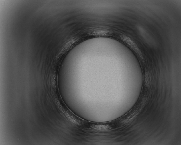 X0000052610449200507160042