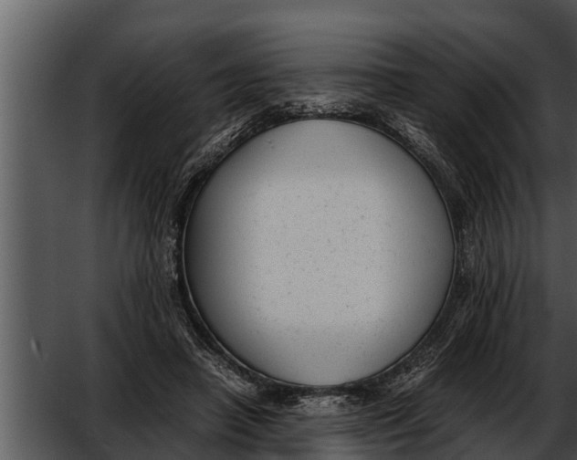 X0000052610450200507160042