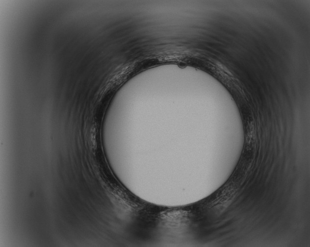 X0000052610452200507160042