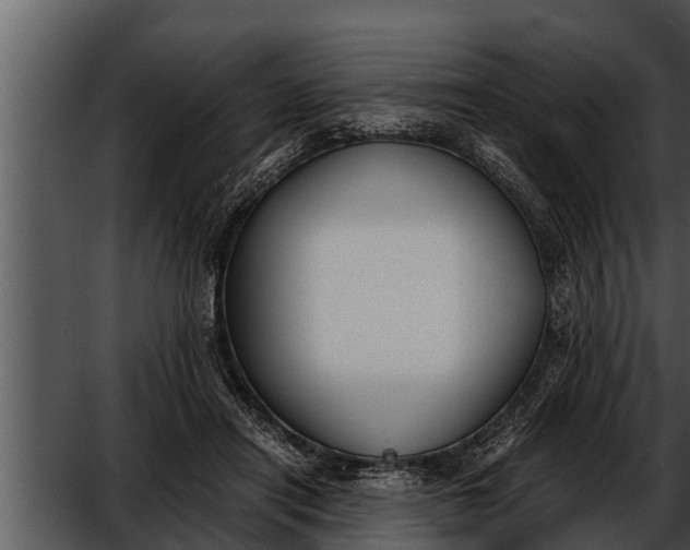 X0000052610454200507160042