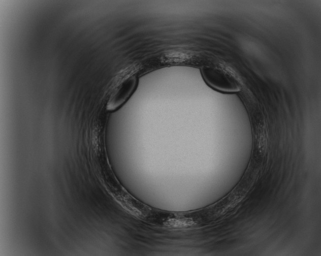 X0000052610455200507160042