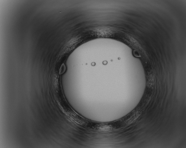 X0000052610456200507160042