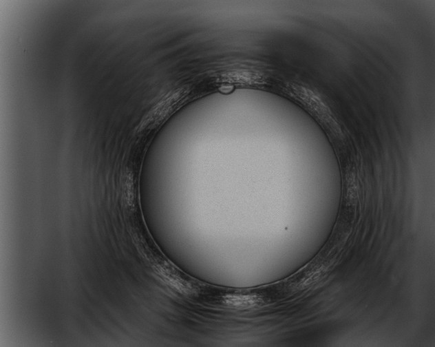 X0000052610457200507160042