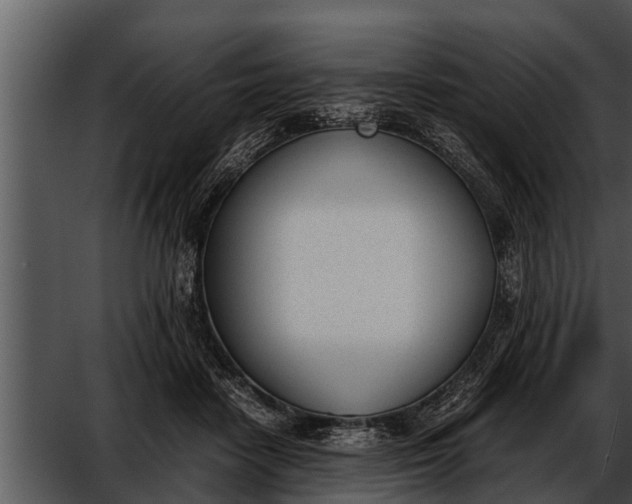 X0000052610458200507160042