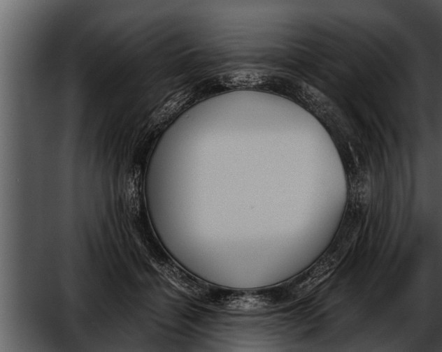 X0000052610460200507160042