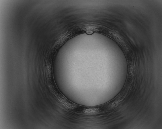 X0000052610461200507160042