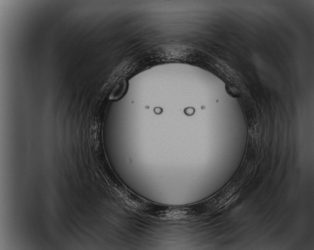 X0000052610462200507160042