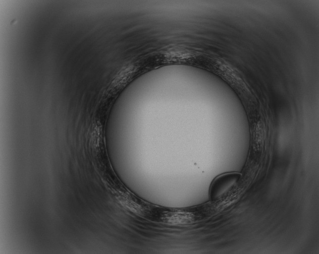 X0000052610463200507160042