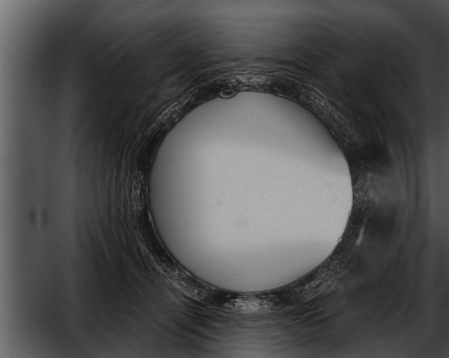 X0000052610464200507160042