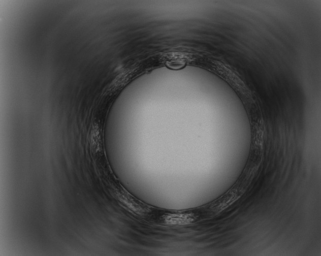 X0000052610465200507160042