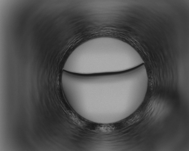 X0000052610466200507160042