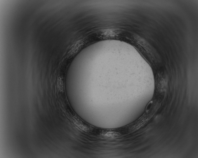 X0000052610467200507160042