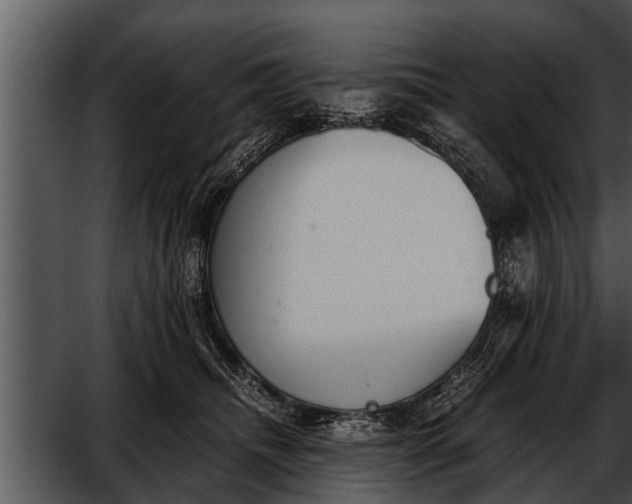 X0000052610468200507160042