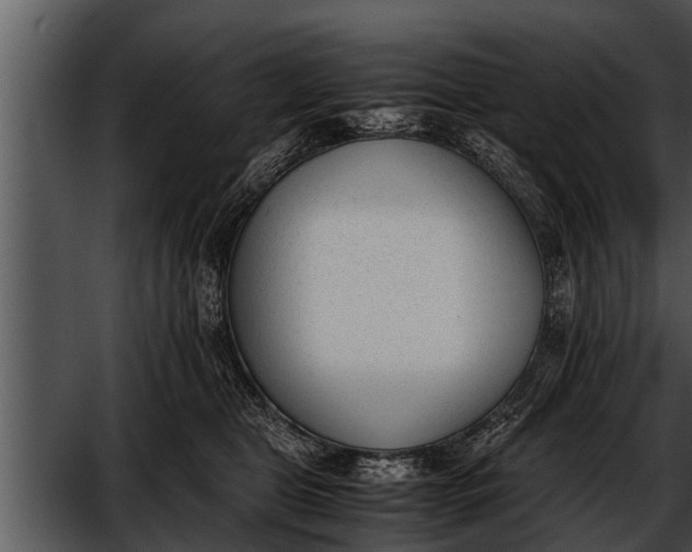 X0000052610469200507160042