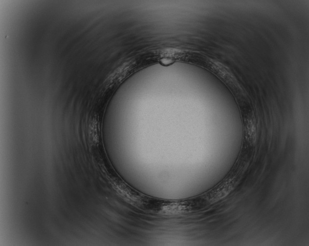 X0000052610470200507160042