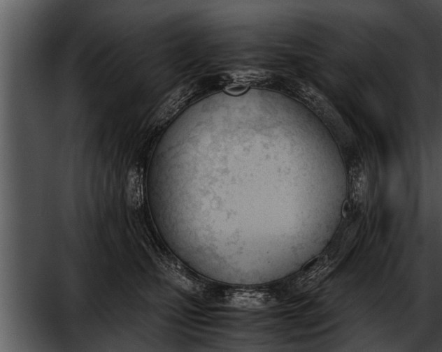 X0000052610471200507160042