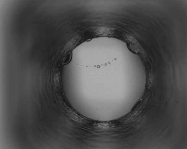 X0000052610473200507160042