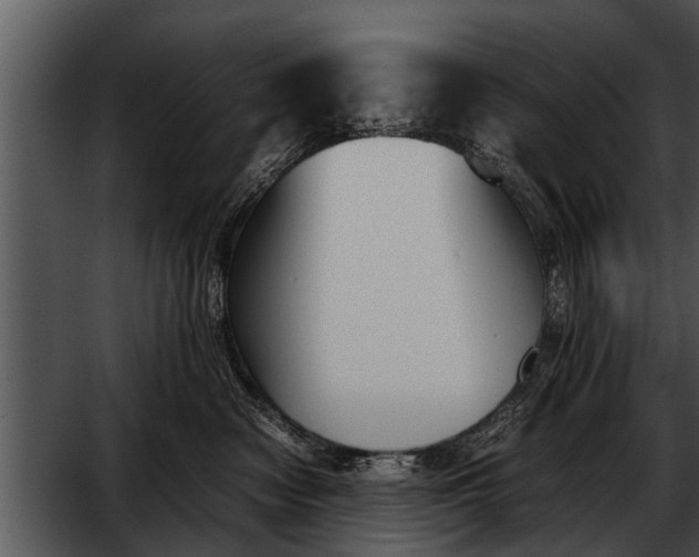 X0000052610474200507160042