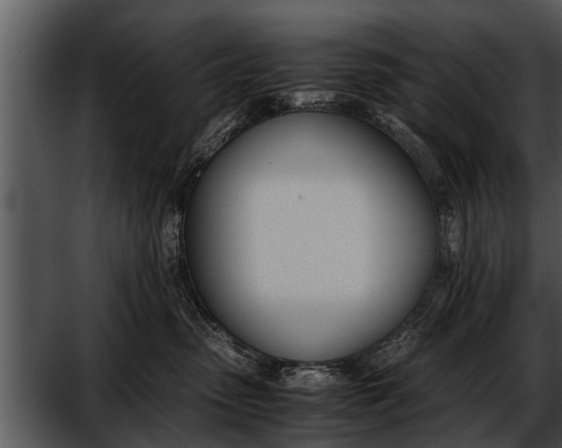 X0000052610475200507160042