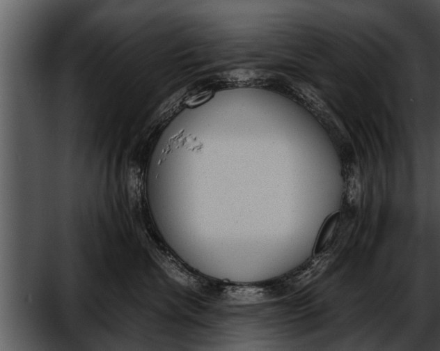 X0000052610476200507160042