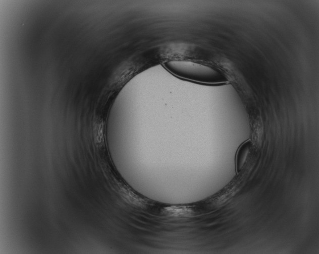 X0000052610477200507160042