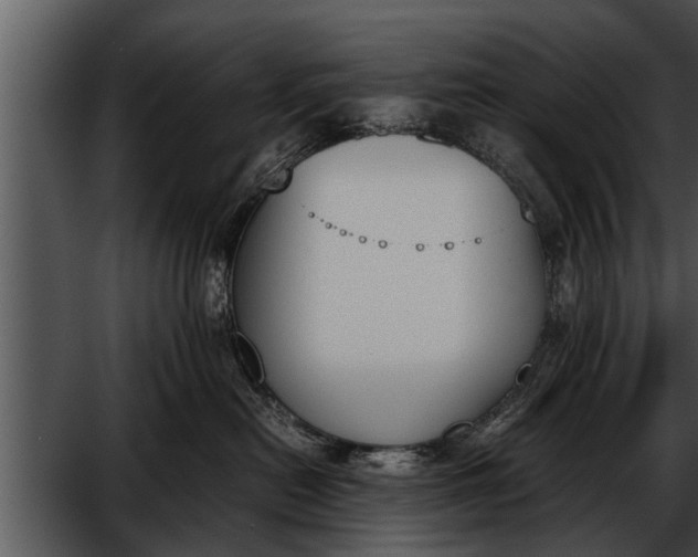 X0000052610478200507160042