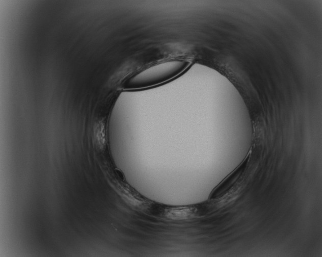 X0000052610479200507160042