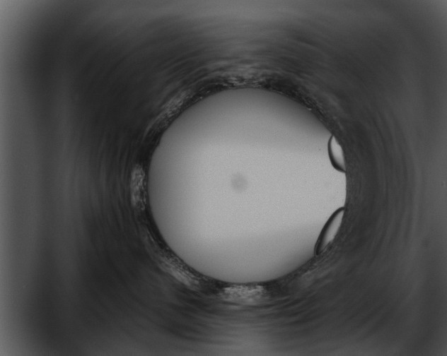 X0000052610480200507160042