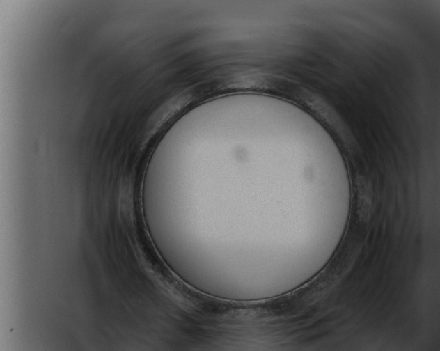 X0000052610482200507160041